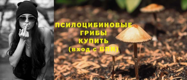 амфетамин Богородицк