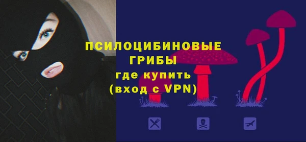 дурь Богородск