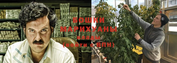 дурь Богородск