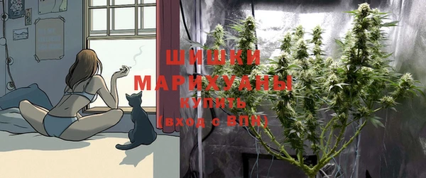 дурь Богданович
