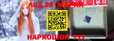 МДПВ Новодвинск