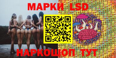 мяу мяу мука Новозыбков