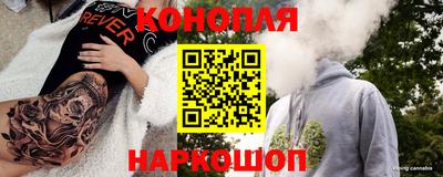 мяу мяу мука Новозыбков