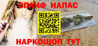 МДПВ Новодвинск