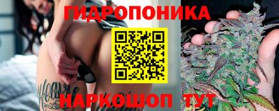 мяу мяу мука Новозыбков