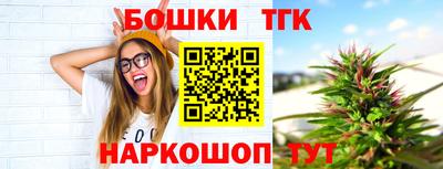 МДПВ Новодвинск