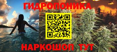 мяу мяу мука Новозыбков