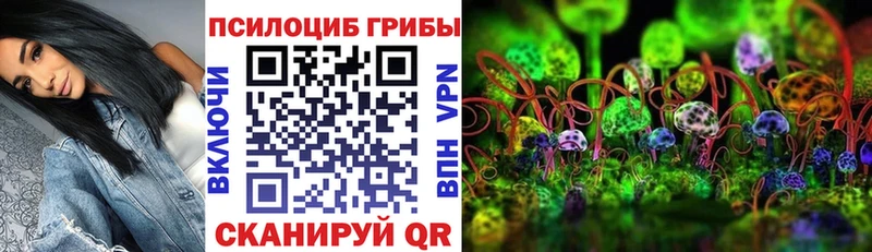 Псилоцибиновые грибы Psilocybe  Наро-Фоминск 