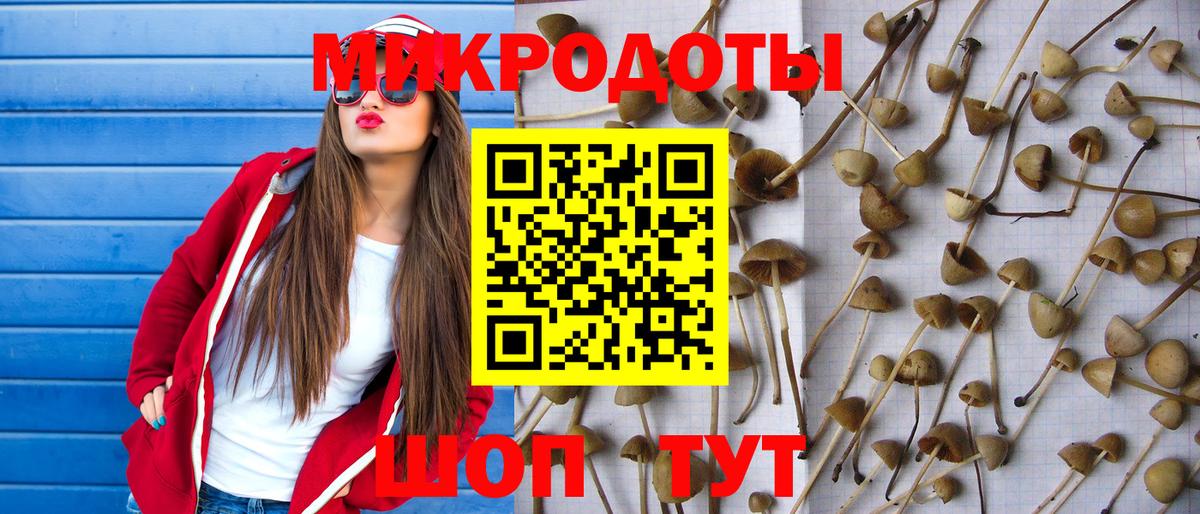 Наро-Фоминск  купить наркотик  Вход с VPN  Псилоцибиновые грибы мухоморы  Галлюциногенные грибы Cubensis 